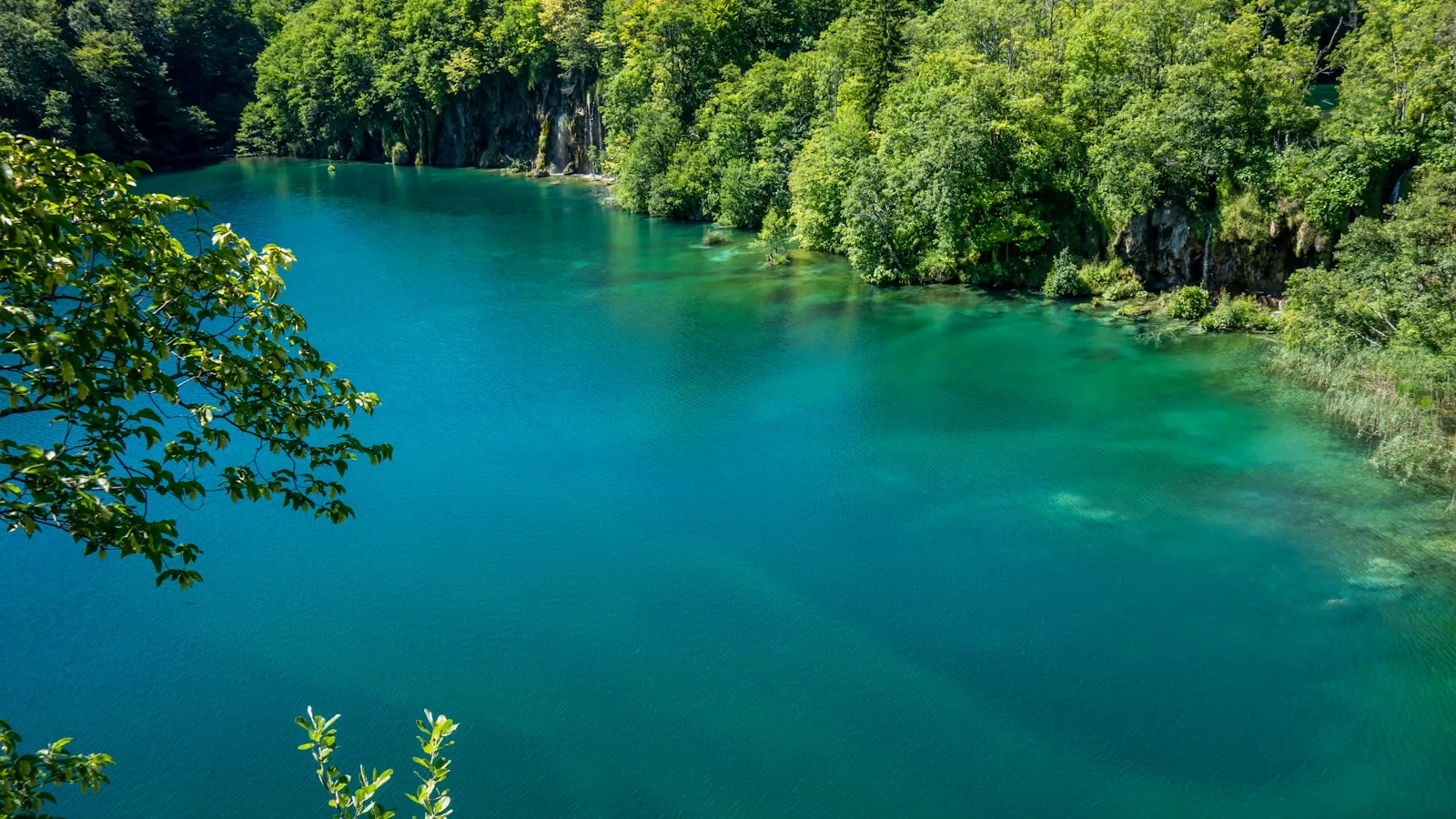 Le parc national en bref