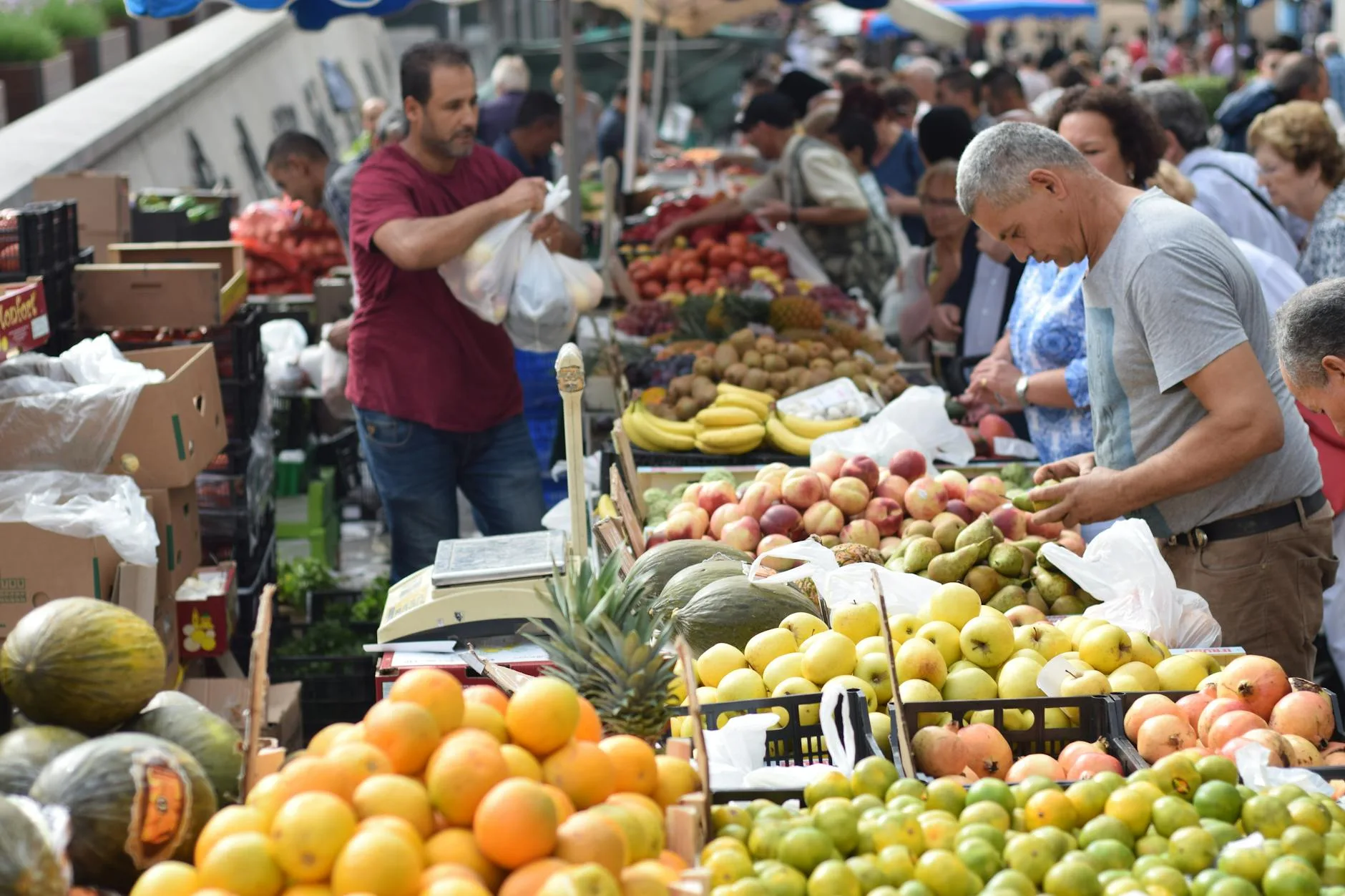 Le Marché Dolac : le poumon de Zagreb